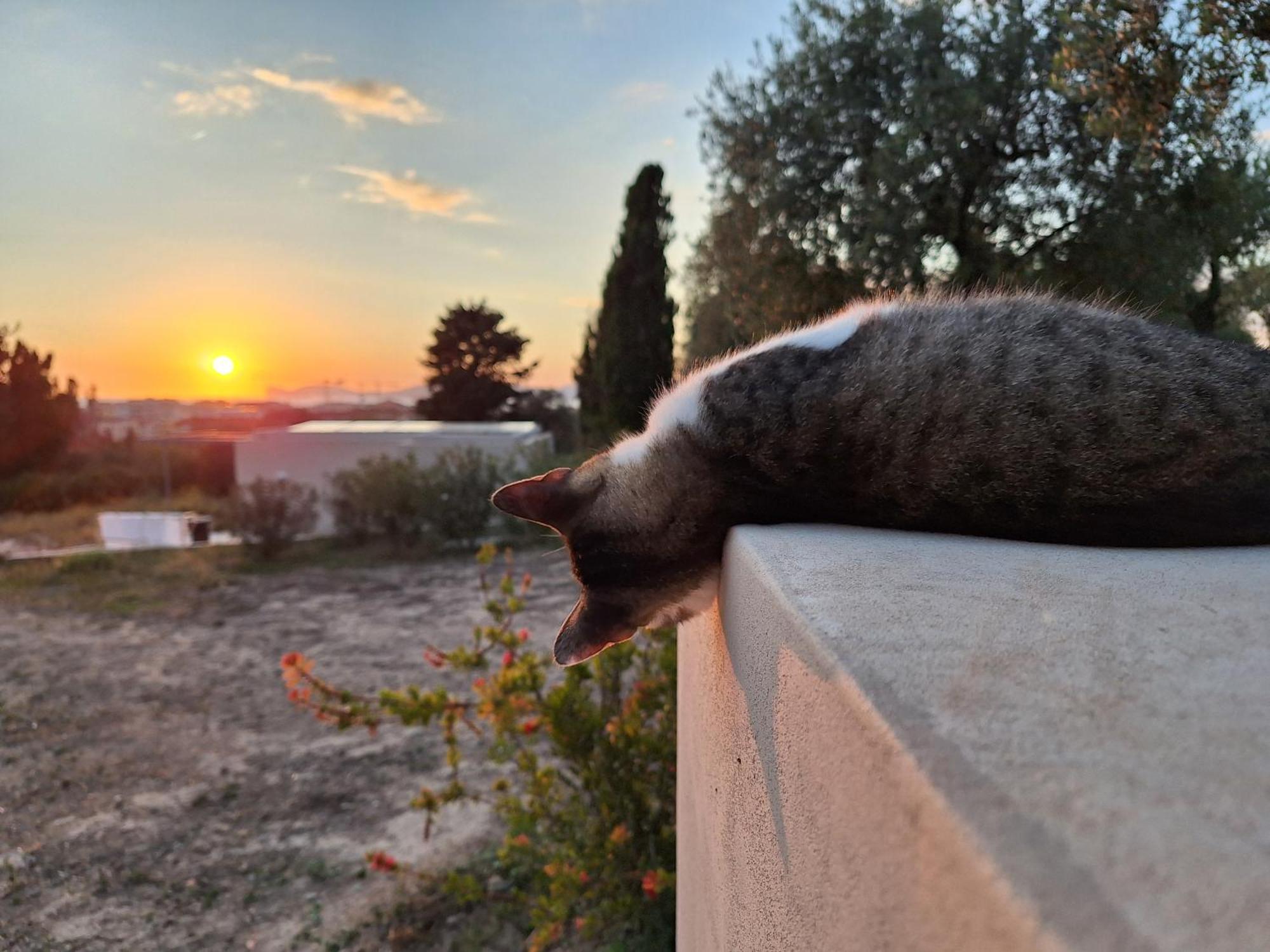 Casale Valverde Alghero Kültér fotó