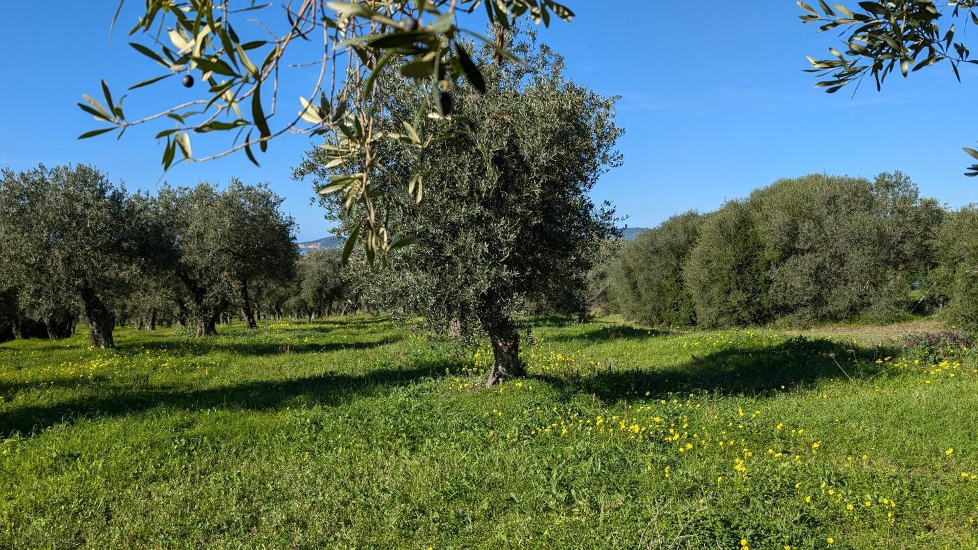 Casale Valverde Alghero Kültér fotó