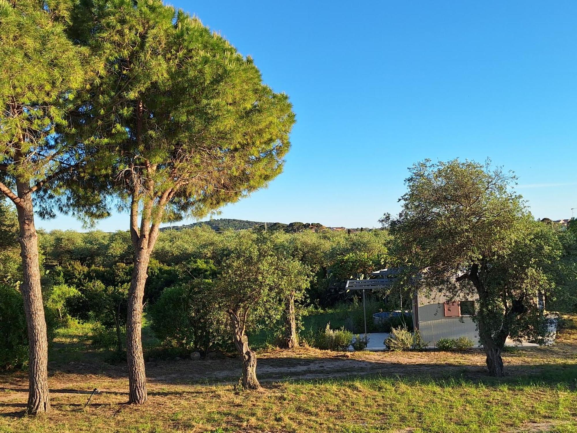 Casale Valverde Alghero Kültér fotó